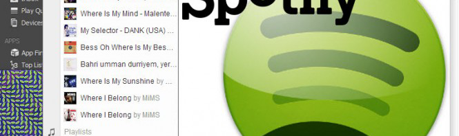 Busca avançada do Spotify: encontre mais músicas com filtros de pesquisa