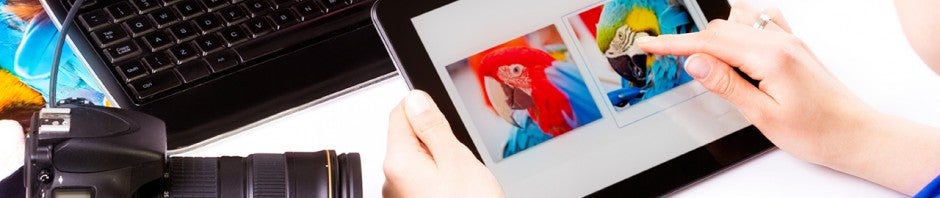 9 aplicativos iOS mágicos para despertar o artista que há em você