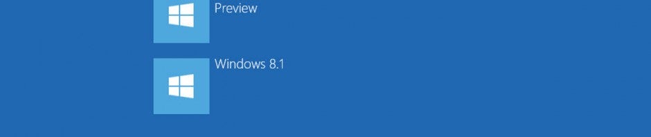 Dual boot Windows