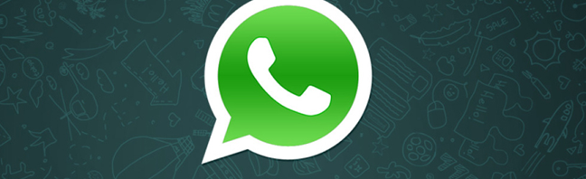 9 praktische WhatsApp-Tipps: E-Mail-Chat, Hintergrundbild, Sicherheitskopie und mehr