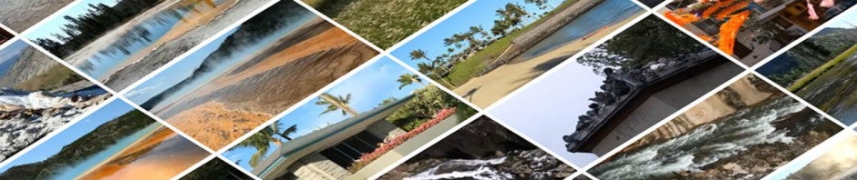 Microsoft veröffentlicht Vine-Alternative für 5 Sekunden Video-Loops