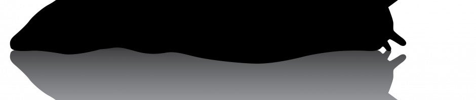 Langsamer PC: Diese Prozesse bremsen Ihren Windows-Rechner aus