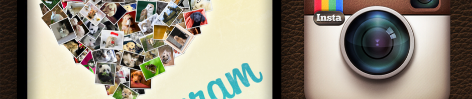 Instagram leicht gemacht – So schießt man Fotos mit 10.000 Likes