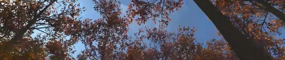 CameraSim 3D: Im Ego-Shooter Fotos schießen und alles über Fotografie lernen