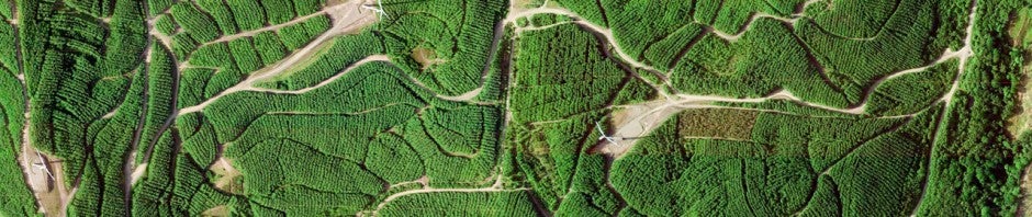 Google Maps: Eine kostenlose Erweiterung verschönert Ihre neue Tabs in Google Chrome mit Satellitenbildern