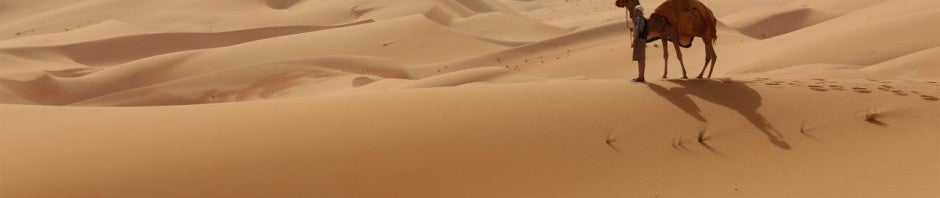 Google Maps: Mit Street View reisen Sie auf dem Kamel durch die Wüste zur Liwa-Oase