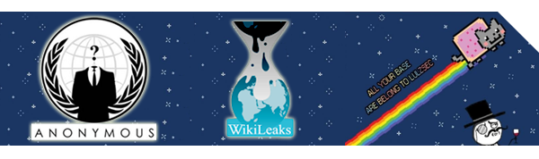 Wikileaks, Anonymous, LulzSec: piratage