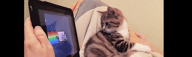 Comment publier un GIF animé dans Facebook?