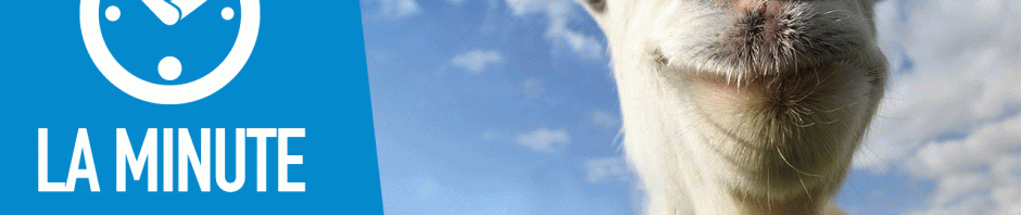 Windows, Twitter, Chrome 33 et Goat Simulator dans la Minute Softonic