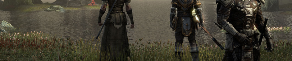 The Elder Scrolls Online: les temps de lancement sont connues