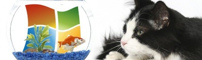 Comment protéger Windows XP des virus après la fin des mises à jour en 2014?