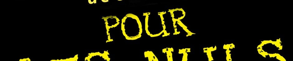 L’ignorance du web chez les Français freine la croissance en France