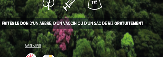 GOODEED : faire des dons humanitaires gratuits, l’idée géniale de 3 étudiants français