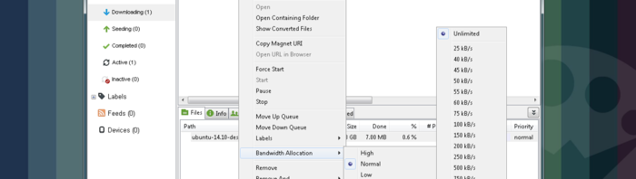 Pourquoi uTorrent ne s’ouvre pas quand on redémarre Windows