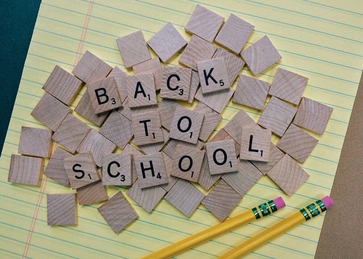 5 choses indispensables pour réussir en cours