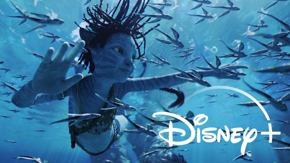 Avatar 2: ¿Cuándo se estrena El sentido del agua en Disney Plus, Amazon y Netflix?