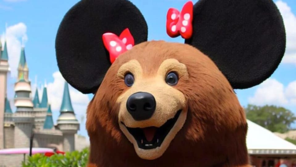 Terror at Disney World: a bear causes a dozen attractions to close