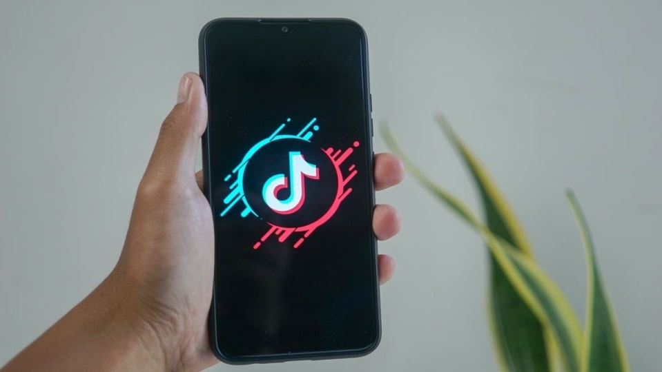 Tired of seeing ads on TikTok? The upcoming feature is tailored for you!