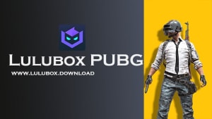 Cómo utilizar Lulubox con PUBG Mobile