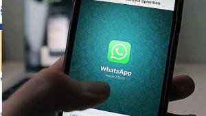 Download for pc whatsapp free login WhatsApp for
