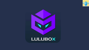 How Do I Use Lulubox on My PC