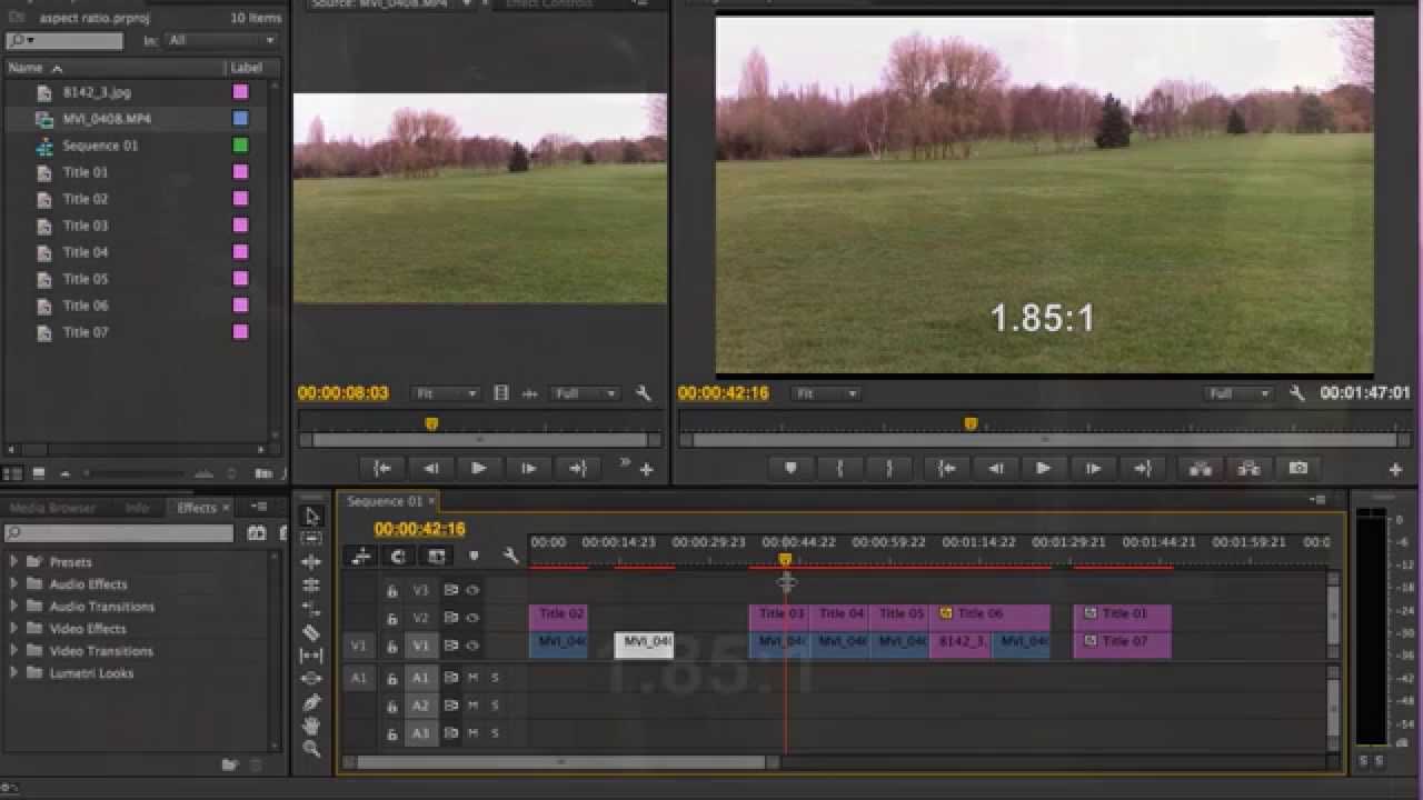 How to change aspect ratio  in Premiere Pro