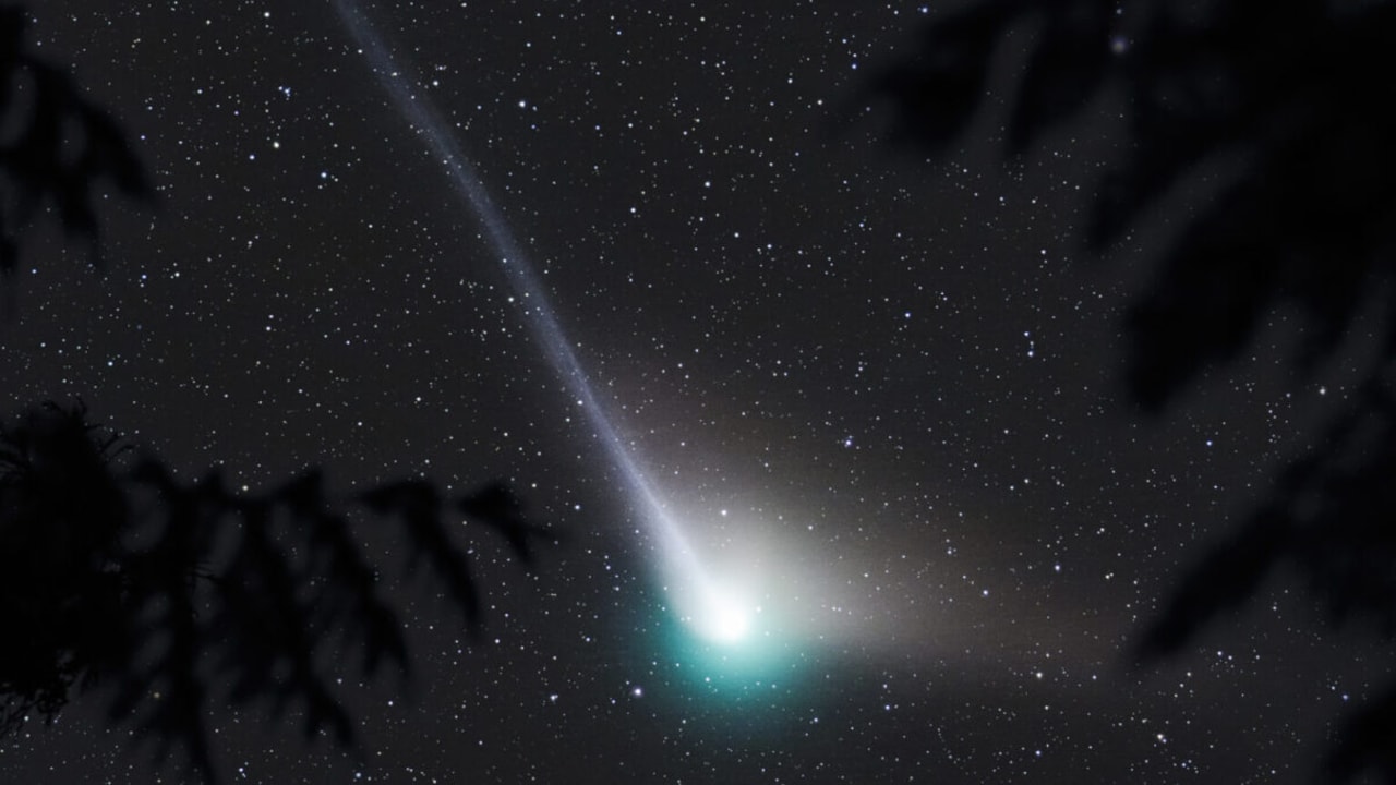 Do you want to see the green comet like you have never seen it before? The best photos and images