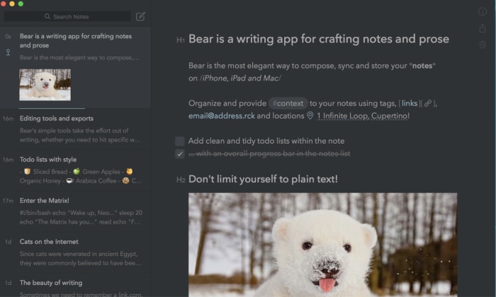 bear notes app