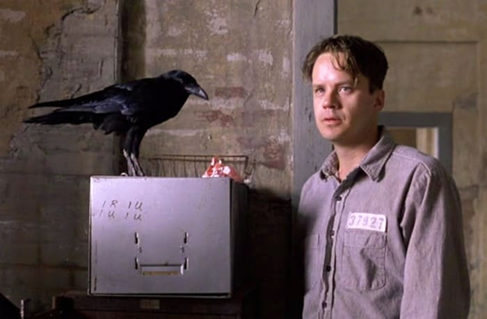 Shawshank Redemption crow
