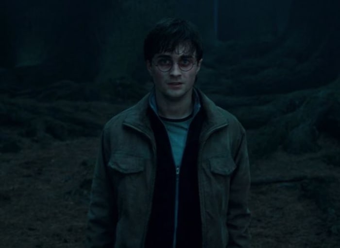 Harry Forbidden Forest Voldemort Deathly Hallows