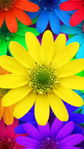 Fondo de pantalla con flores multicolores