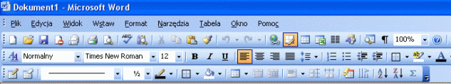 Microsoft Word 2003