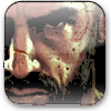Max Payne 3