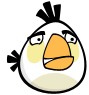 Angry Birds Biały