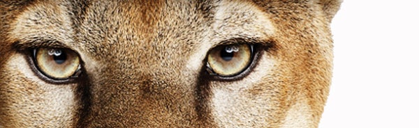 Mountain Lion 10.8 wymagania sprzetowe