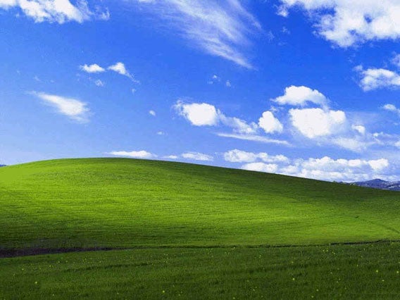 Tapeta-Windows-XP