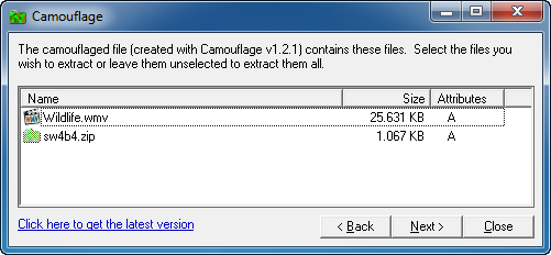 Camouflage Ventana principal