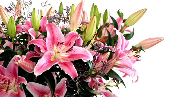 Dia de la madre flores