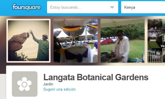 foursquare_elephants