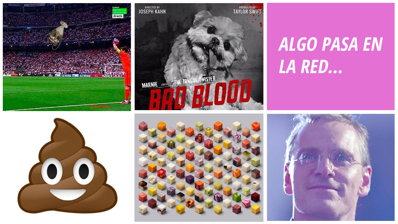 Imagen del artículo: Los mejores memes de Tayl…