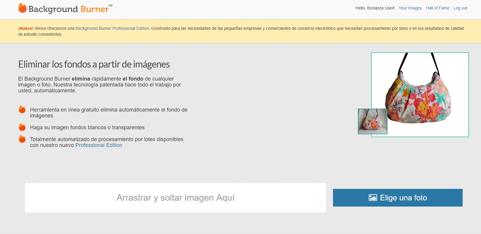 Cómo quitar el fondo a una imagen online