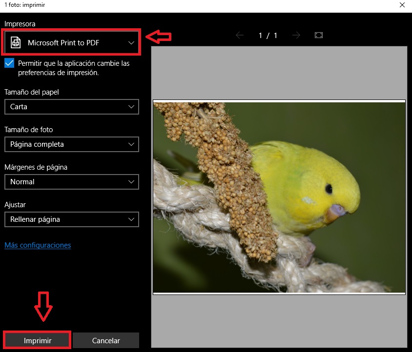 Cómo convertir una imagen JPG a PDF