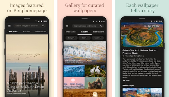 Bing Wallpapers