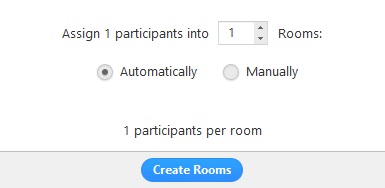 Breakout Rooms de Zoom