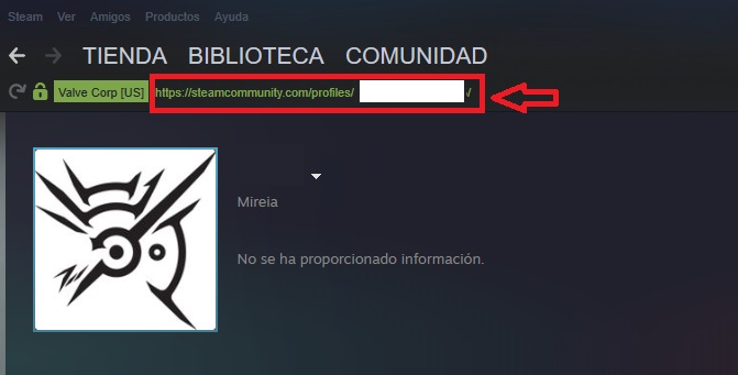 ID de Steam