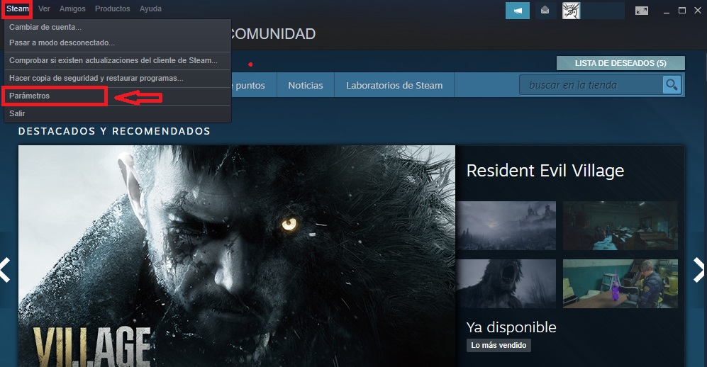 Parámetros de Steam