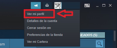 Ver mi perfil en Steam