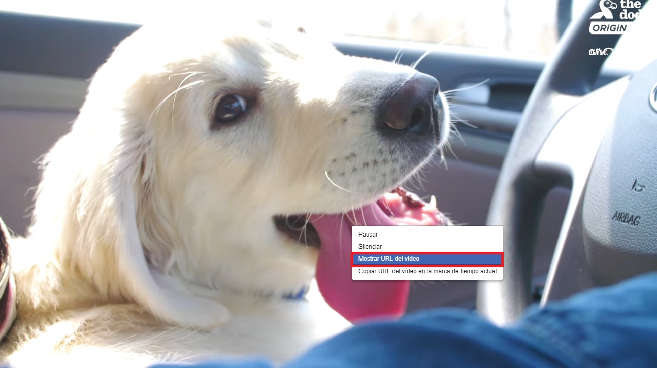 Cómo guardar un vídeo de Facebook