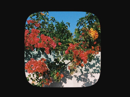Filtro RENEGADE