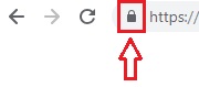 Cómo activar Adobe Flash